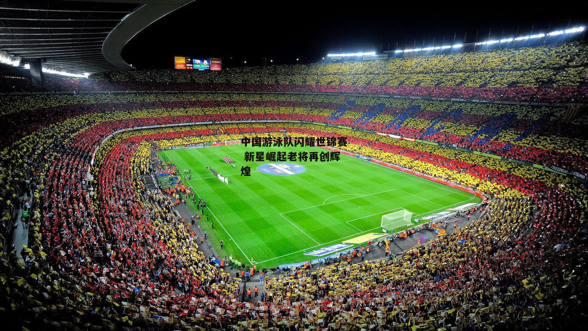 中国游泳队闪耀世锦赛 新星崛起老将再创辉煌